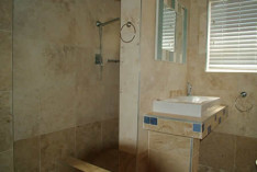 Shower and basin